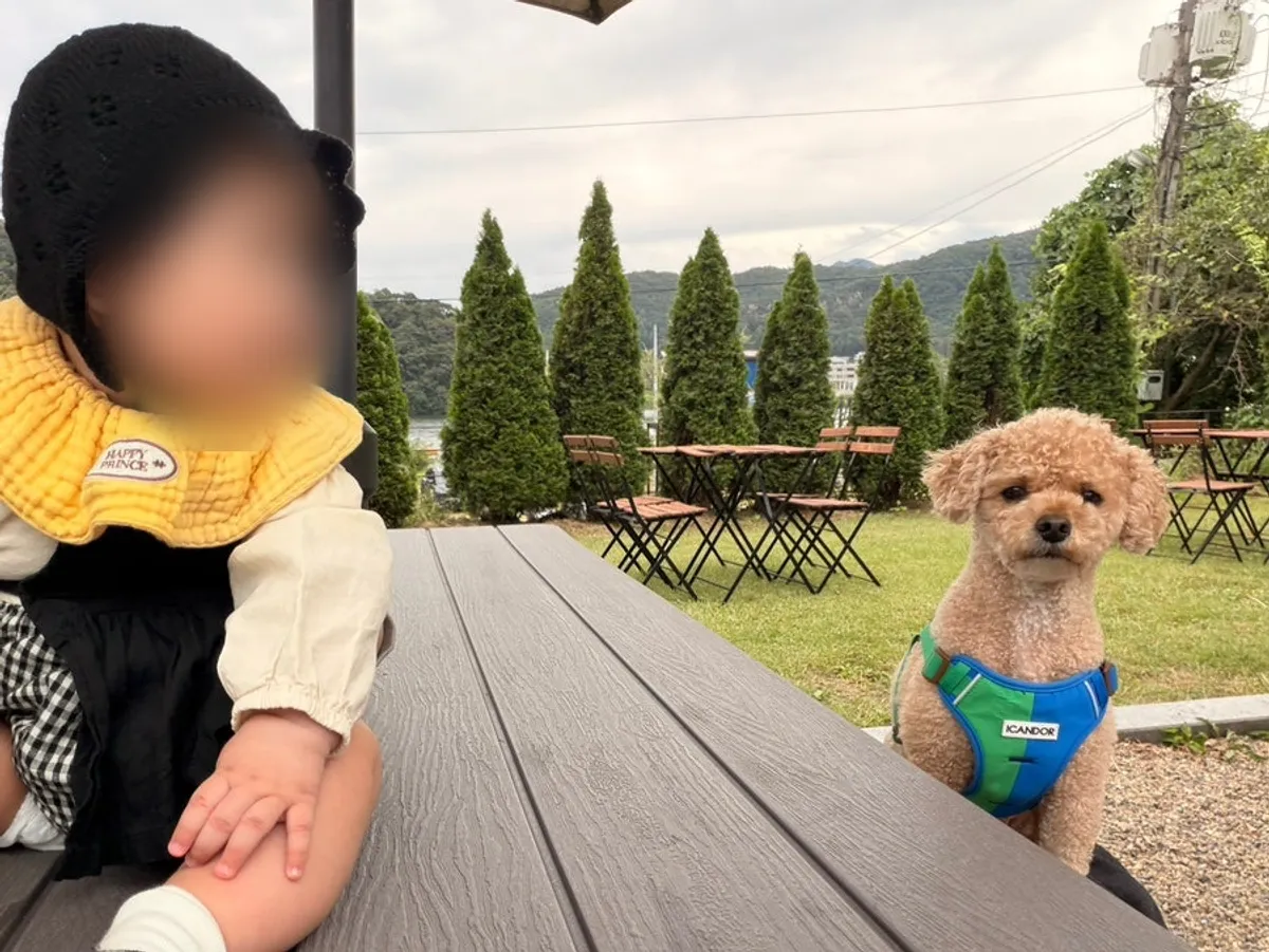 엠아르 남양주본점 리버뷰 브런치 자리