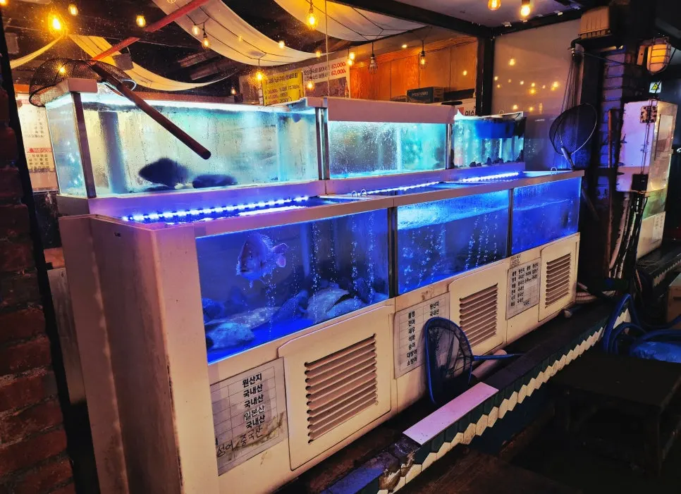 Fish tank set up in front of the restaurant