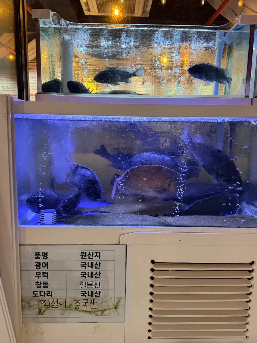 테이블 간격이 넉넉한 넓은 홀 좌석