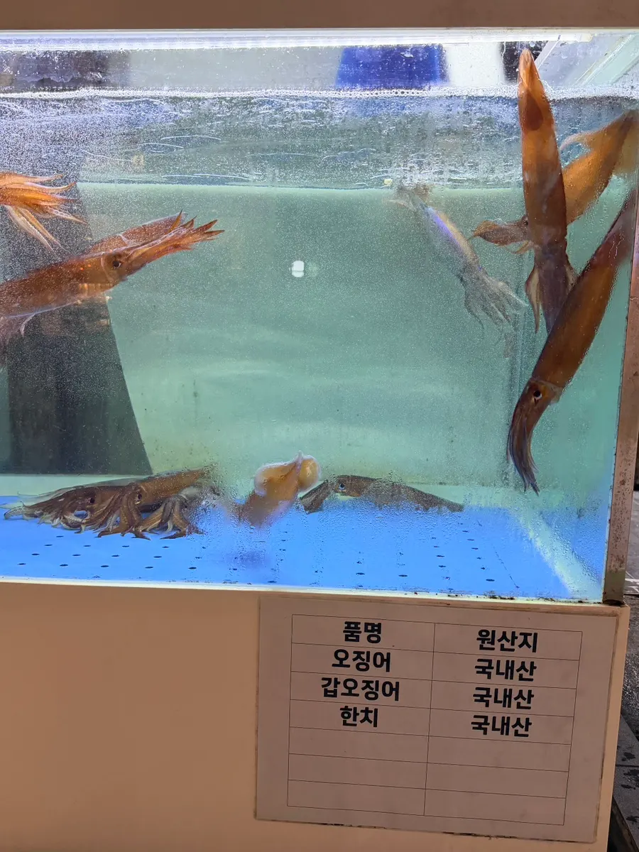 가게 입구 쪽 대형 수족관