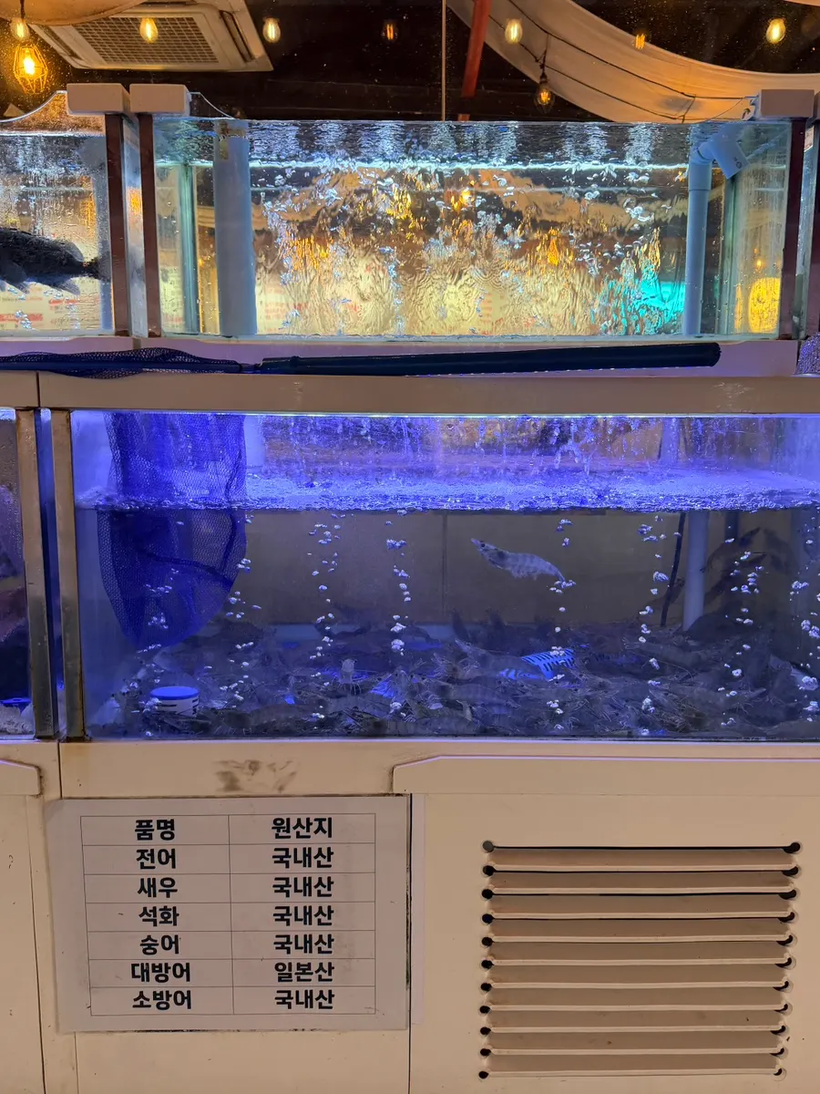 수족관 속 물고기와 오징어