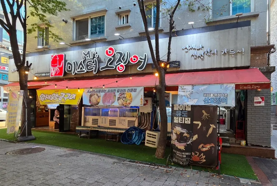 활어회와 물회, 튀김이 함께 놓인 네 명 상차림