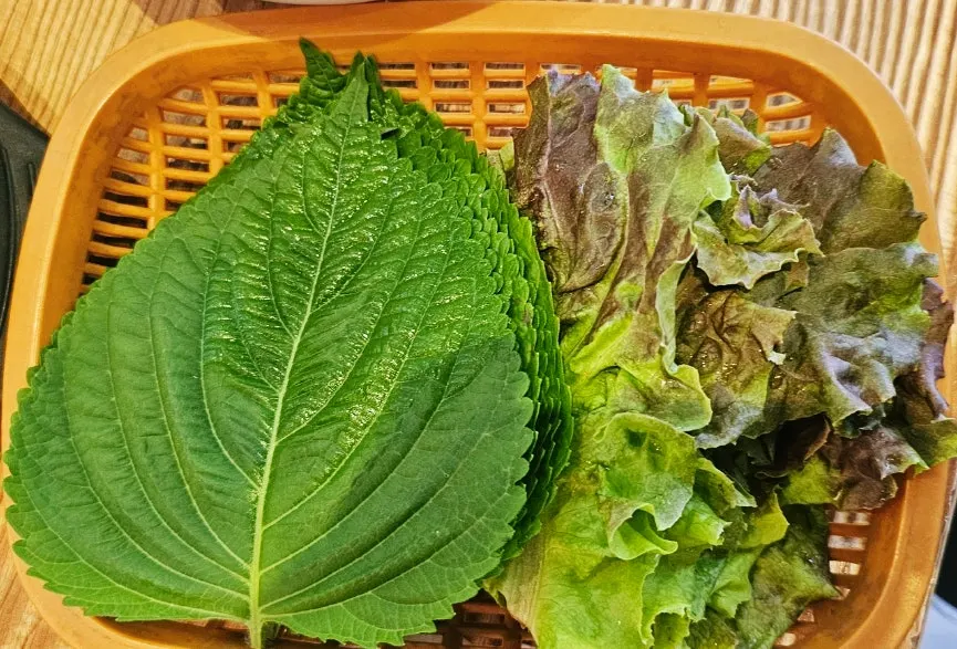 리필 가능한 깻잎과 상추 쌈 채소