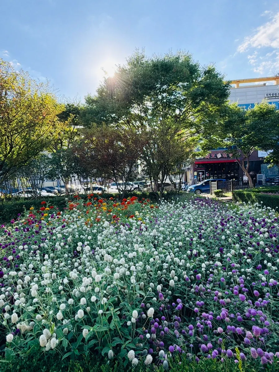 Café with a view of the park outside