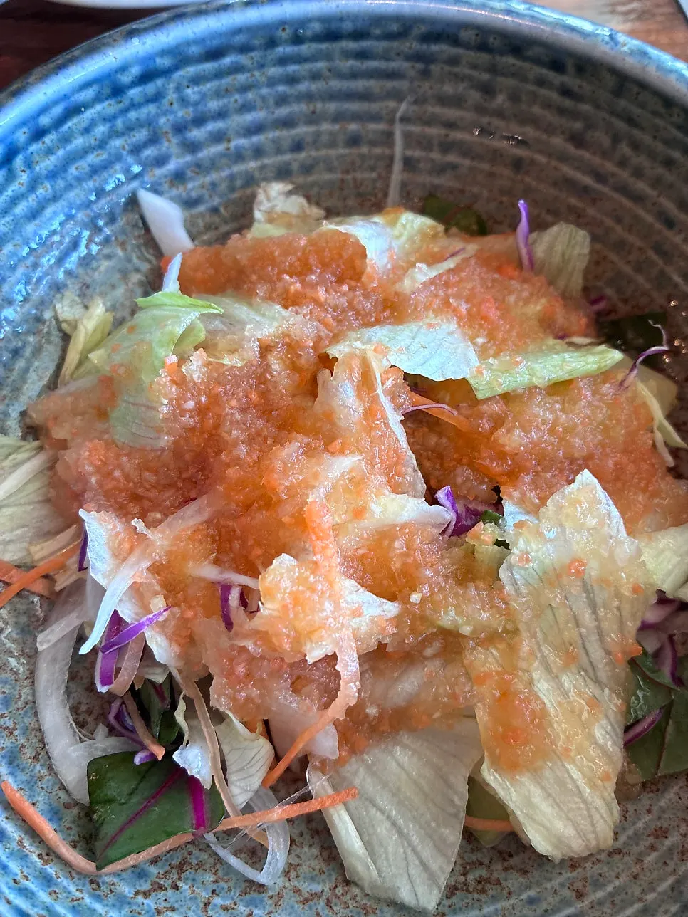 Salad with onion, carrot and lettuce