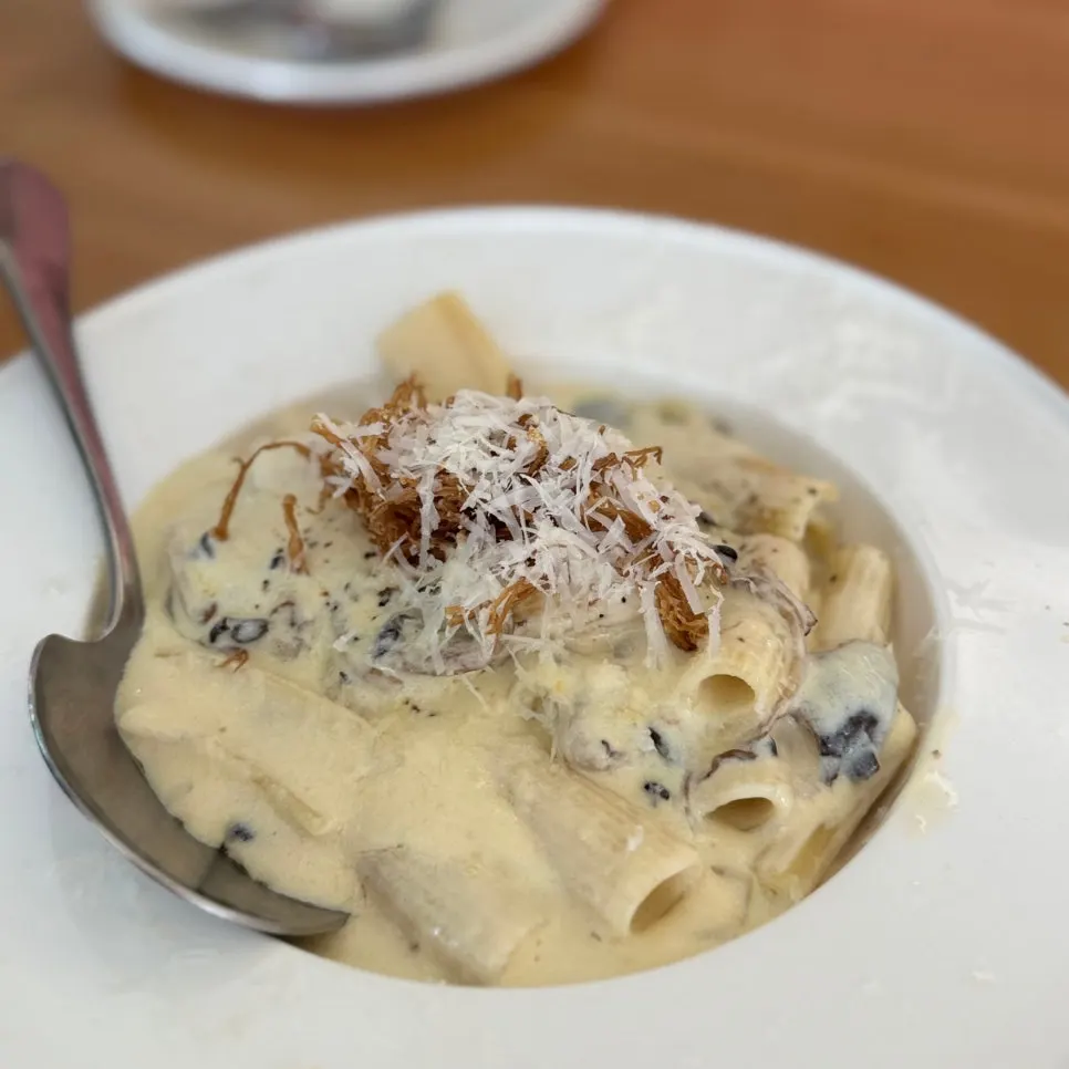 A plate of Meolmeol Pangyo's truffle cream pasta