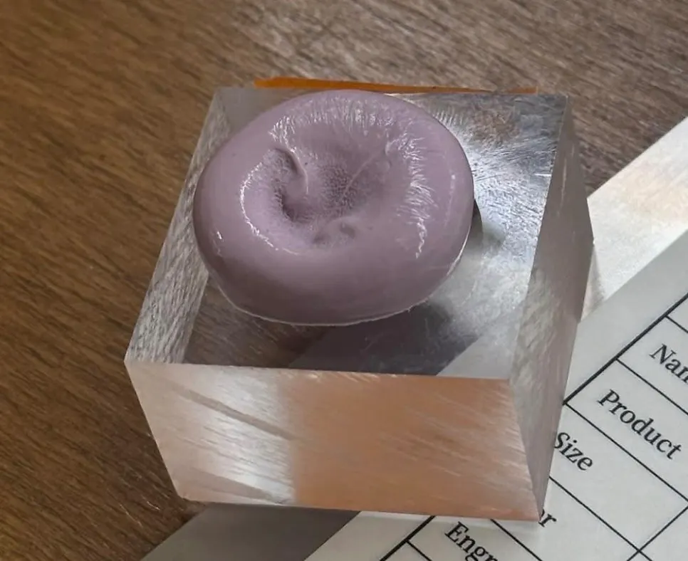 A dog's nose print pressed into clay
