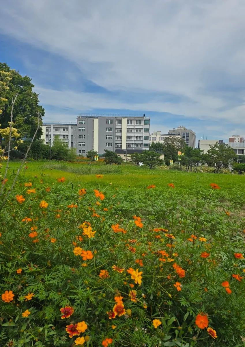 A visit to Seonhyewon, a hanok exhibition space in Samcheong-dong
