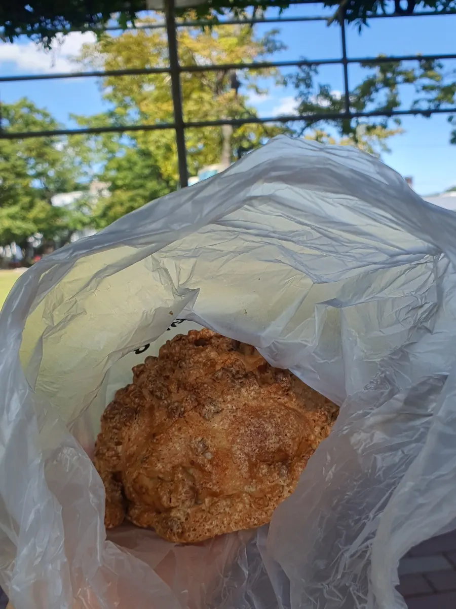 영수증 리뷰로 받은 소금빵