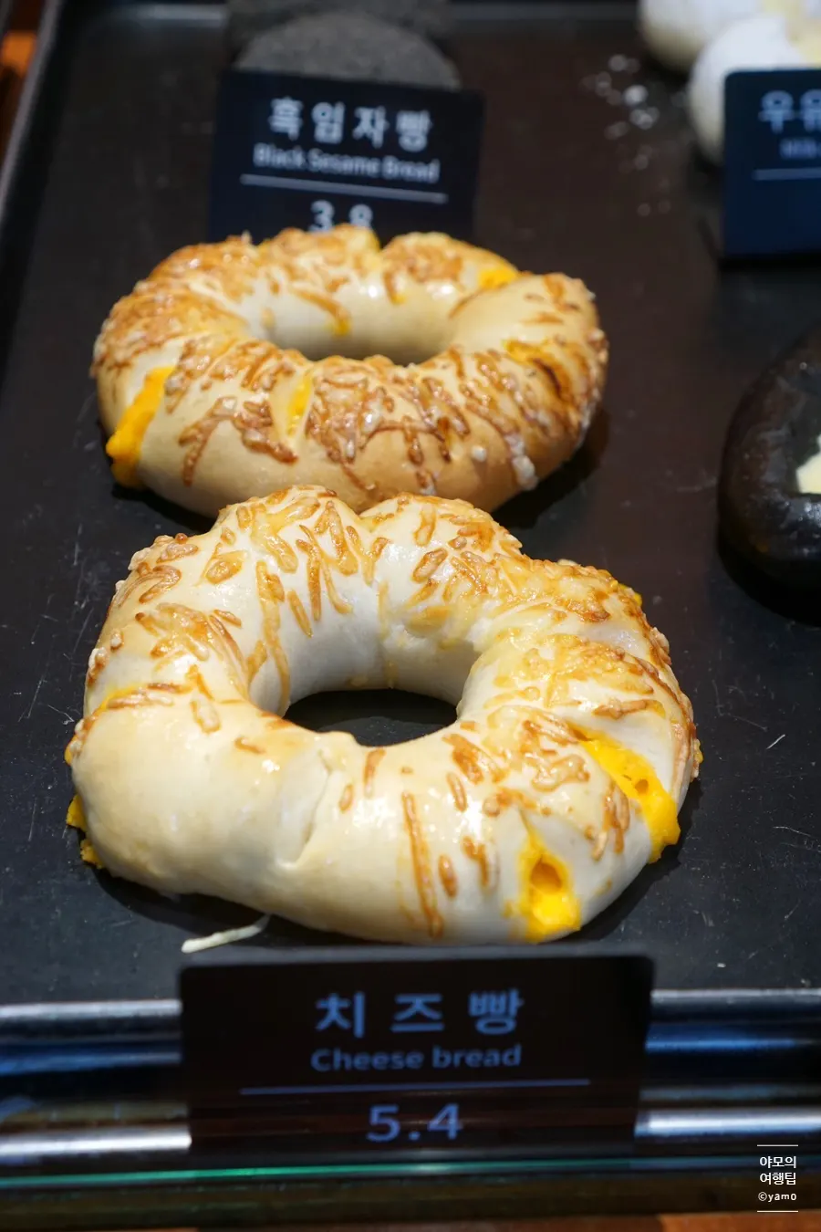 치즈가 올라간 문화제빵 치즈빵