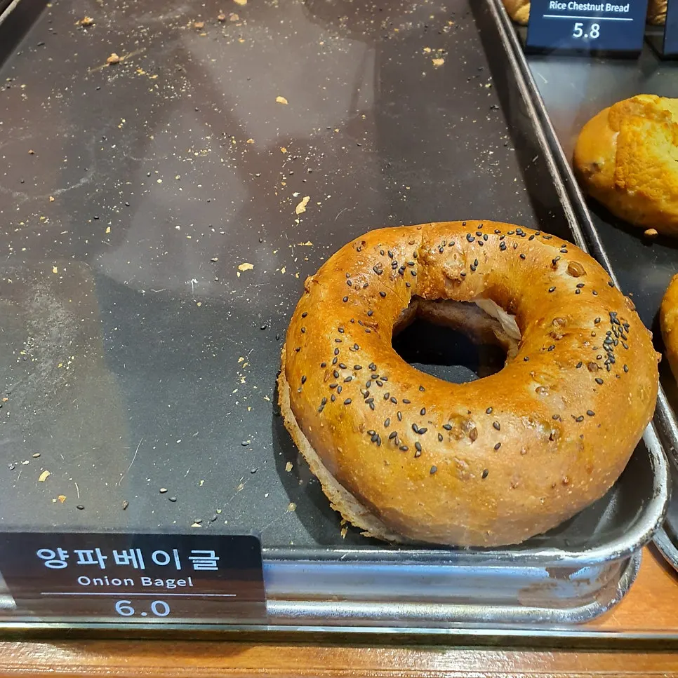 Onion bagel from Munhwa Bakery filled with cream cheese