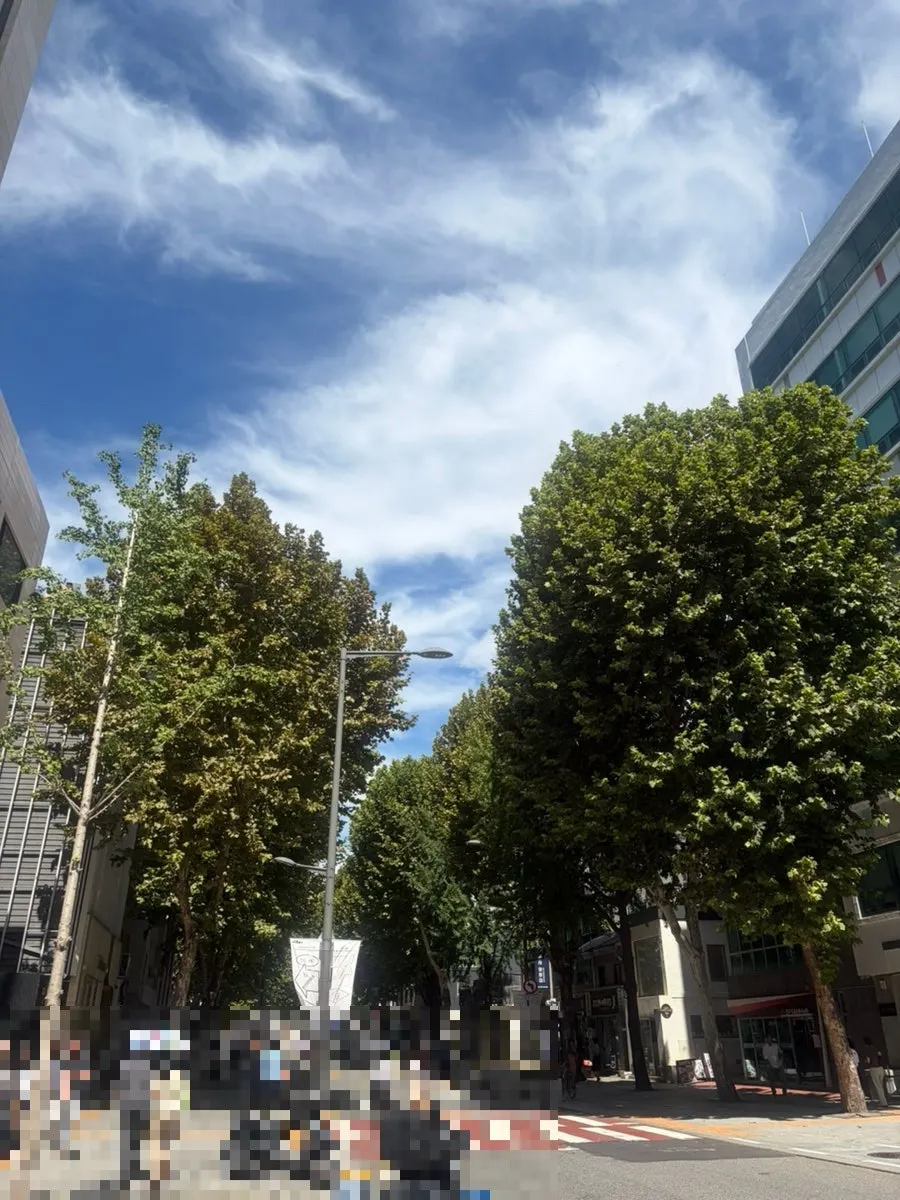 Wrapping up the Munhwa Bakery outing with a Seosullo-gil walk