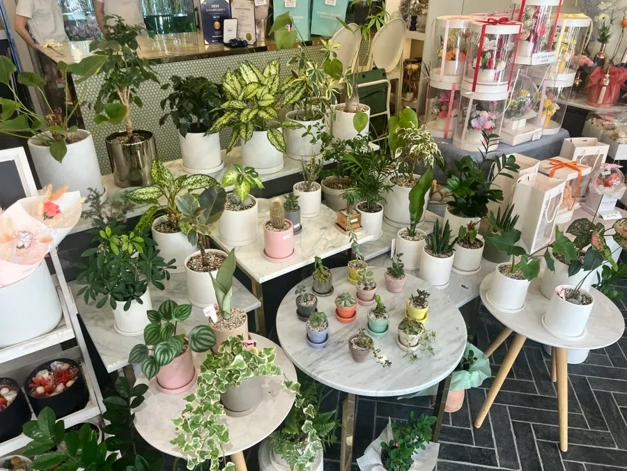 Spacious flower shop interior extending toward the back