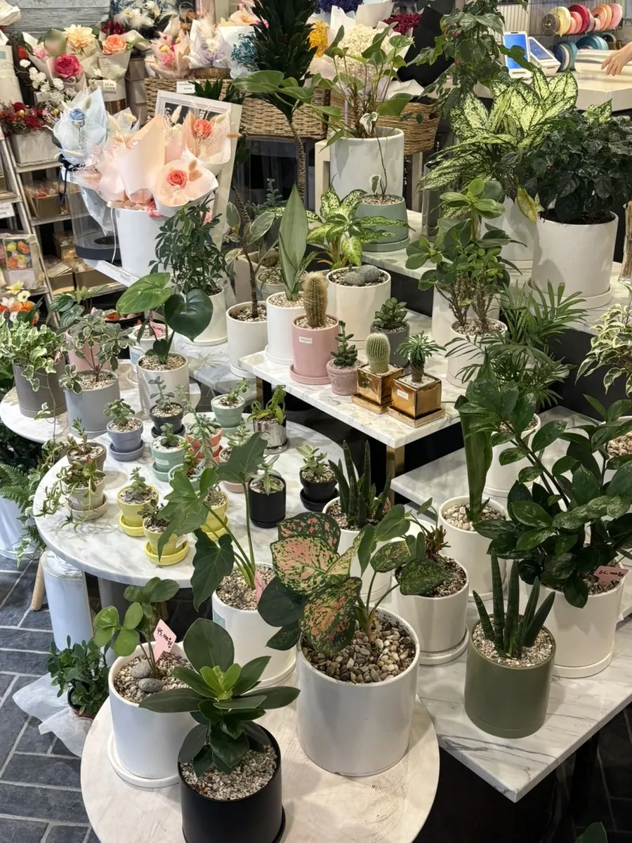 Interior de la tienda con cajas de flores para regalo