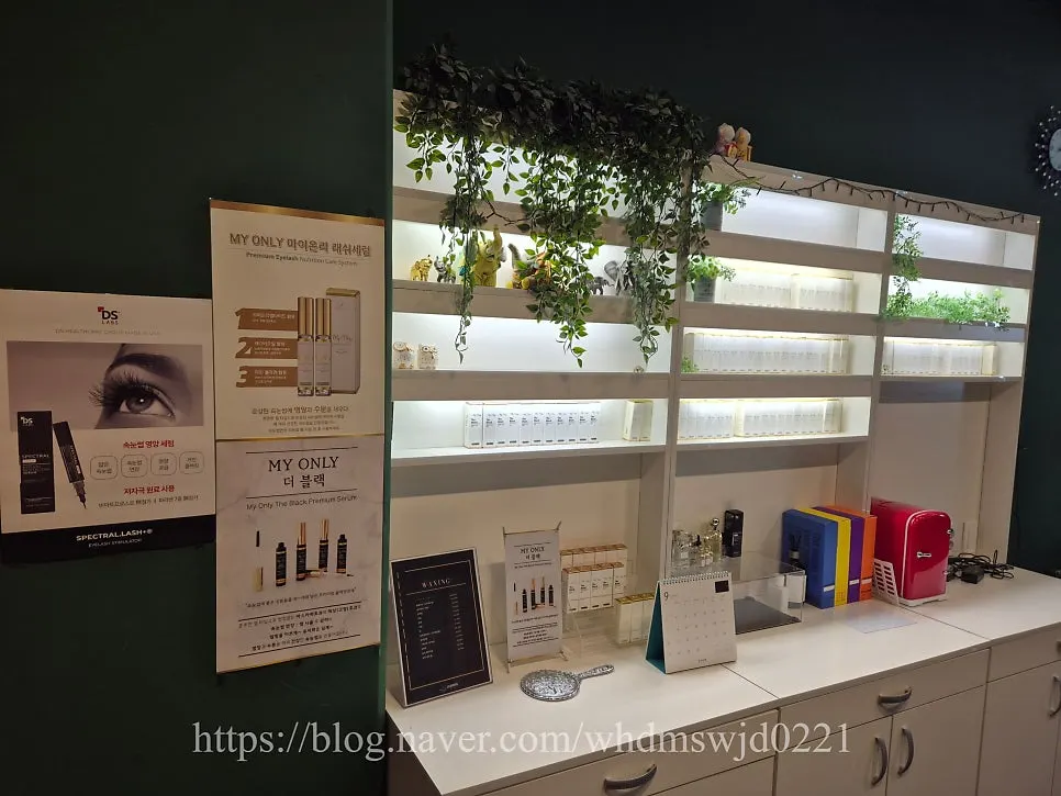 Introduction to Lash Doll near Munjeong Station