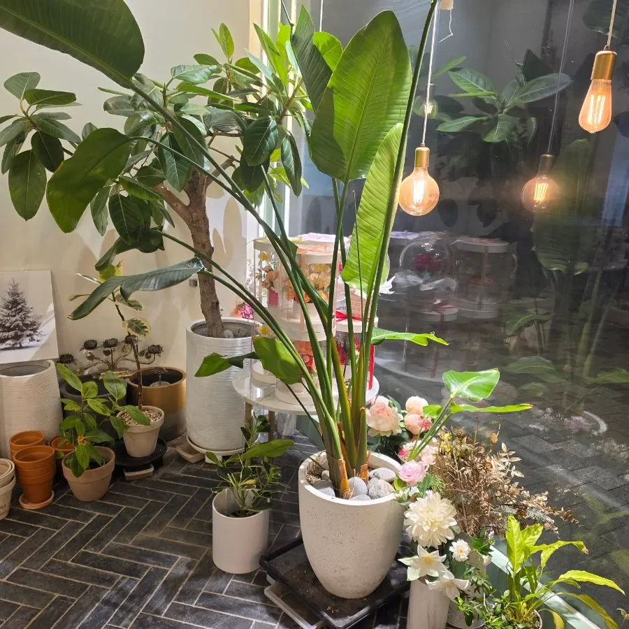 Flower items that make you consider buying more