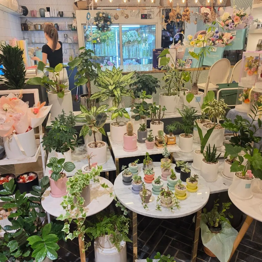 Various flower-related gift items