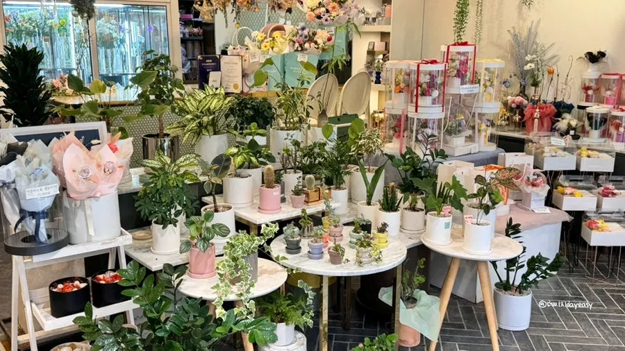 Interior view of the Habio Flower by Su store