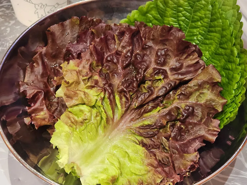 꽃냉삼 위에 올린 미나리