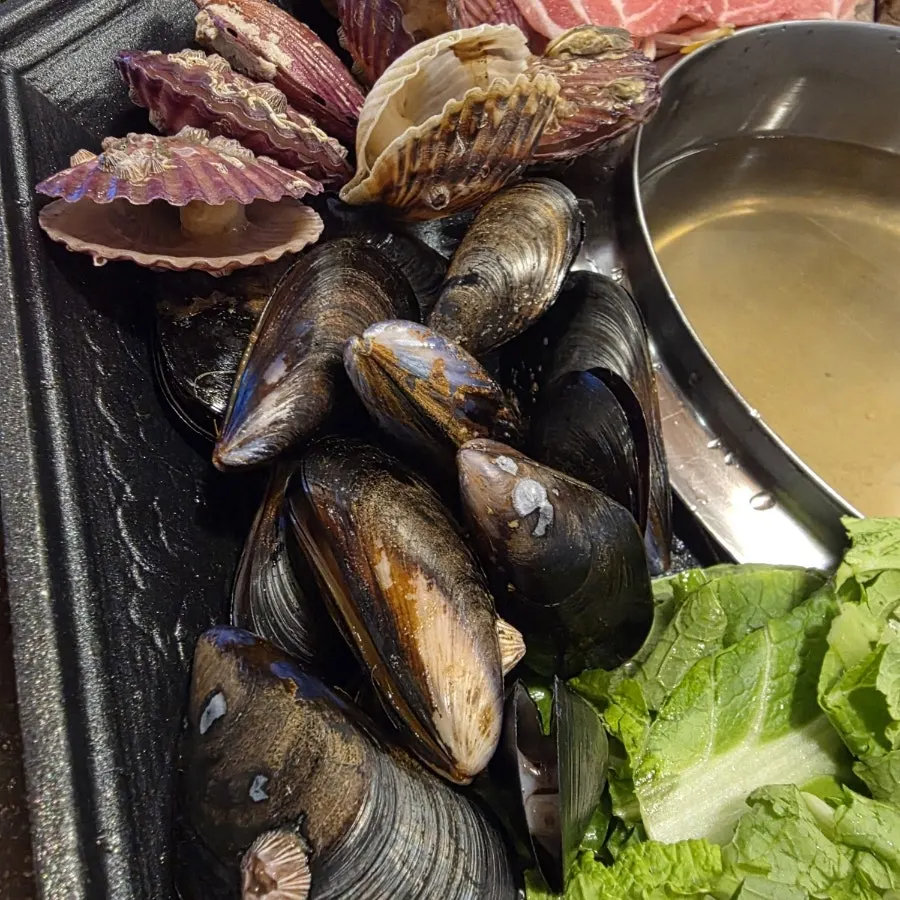 Fresh clams piled on top of the clam shabu kalguksu