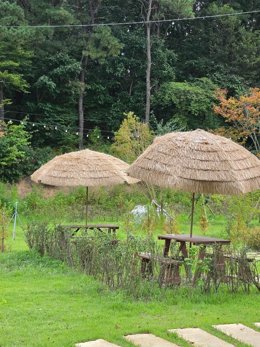 Trees and table seating in the outdoor garden