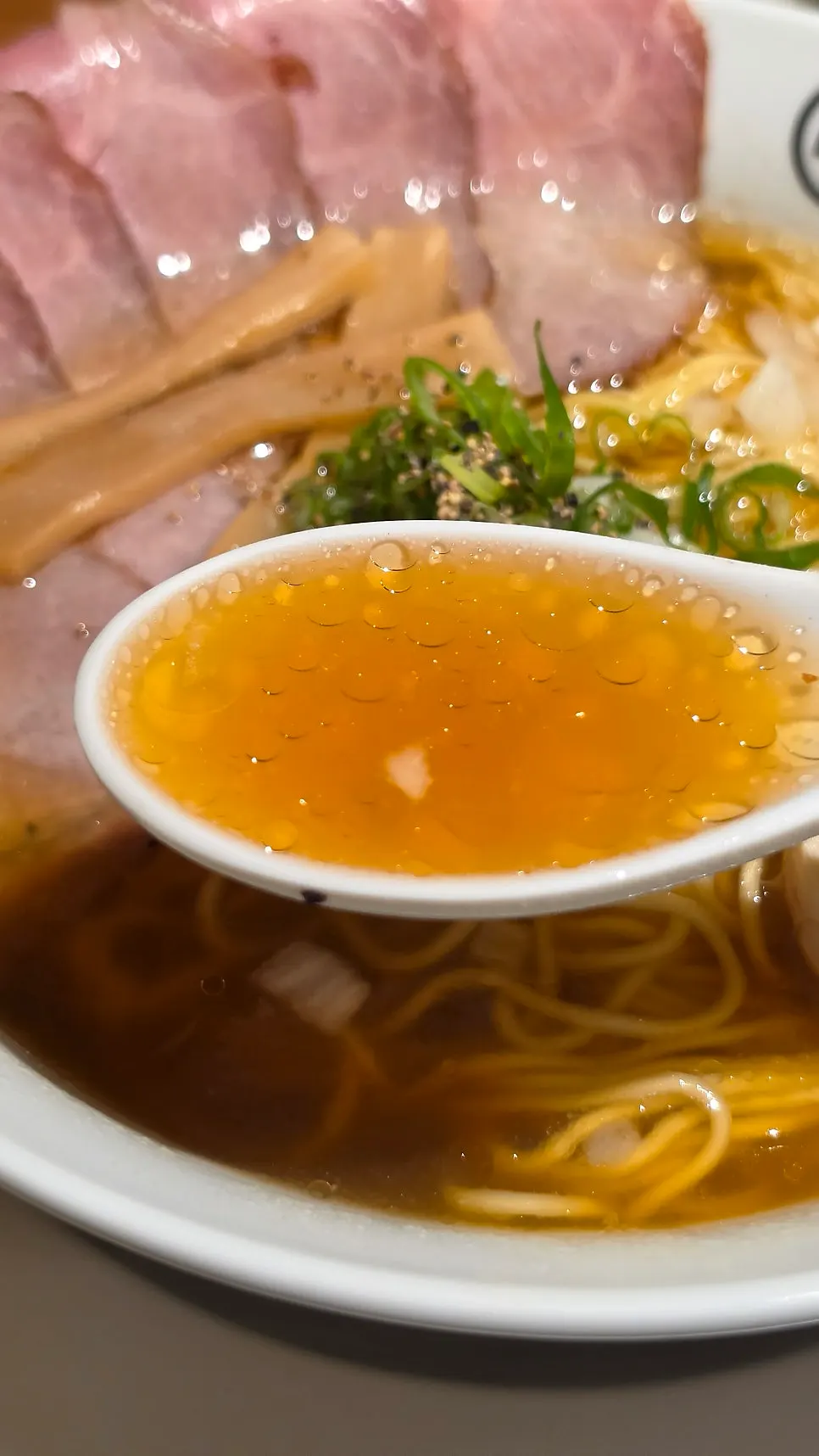 A spoonful of the rich soy sauce broth