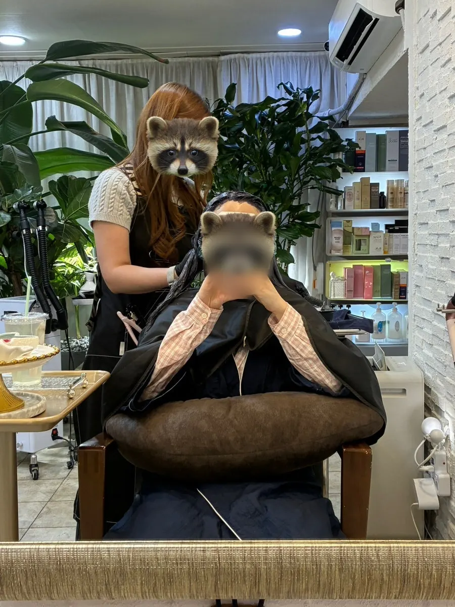 Hair color before dyeing, photographed from behind