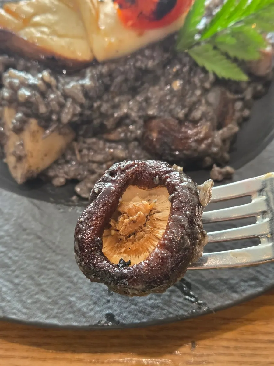 One spoonful of mushroom risotto