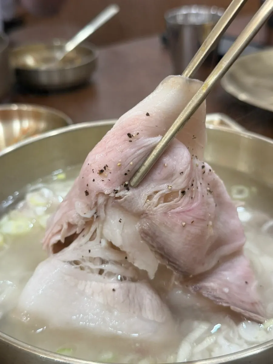 Pork gomtang and cabbage dumplings enjoyed in Myeongdong