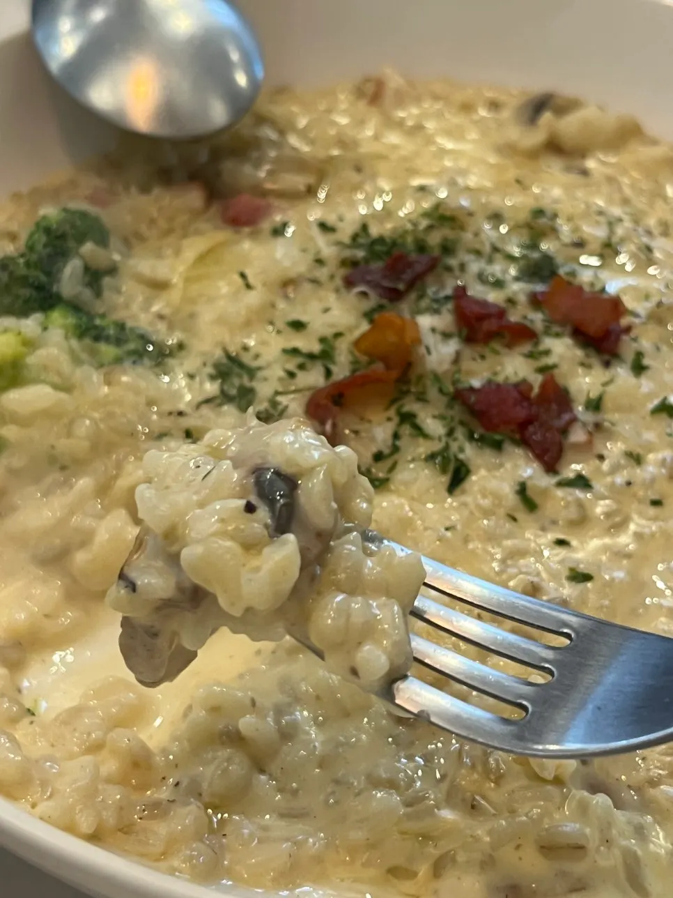 Close-up of the cream risotto with bacon, broccoli, and mushrooms