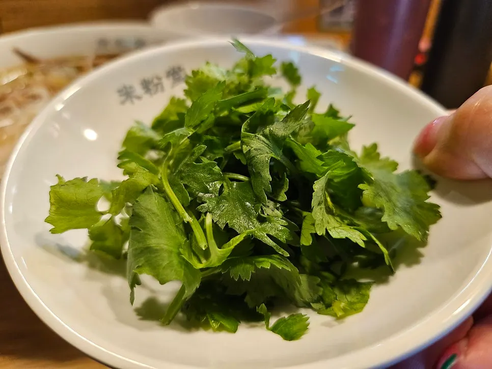 Noodles and broth of the brisket pho