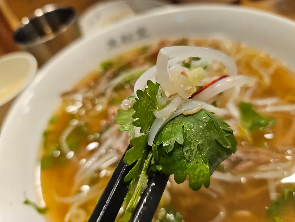 Brisket pho piled high with cilantro