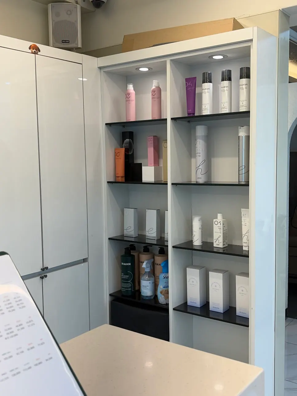 Hair salon retail product display