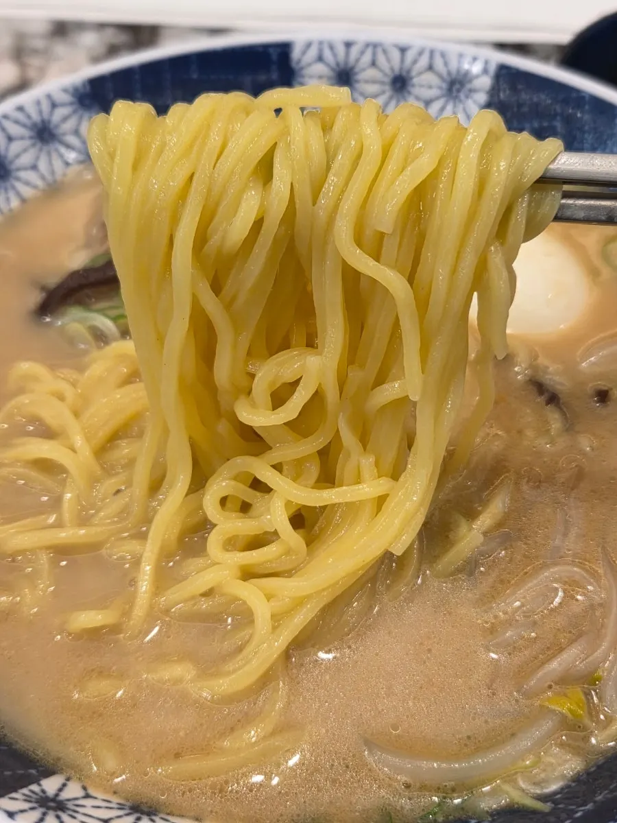 Noodles in the rich ramen broth