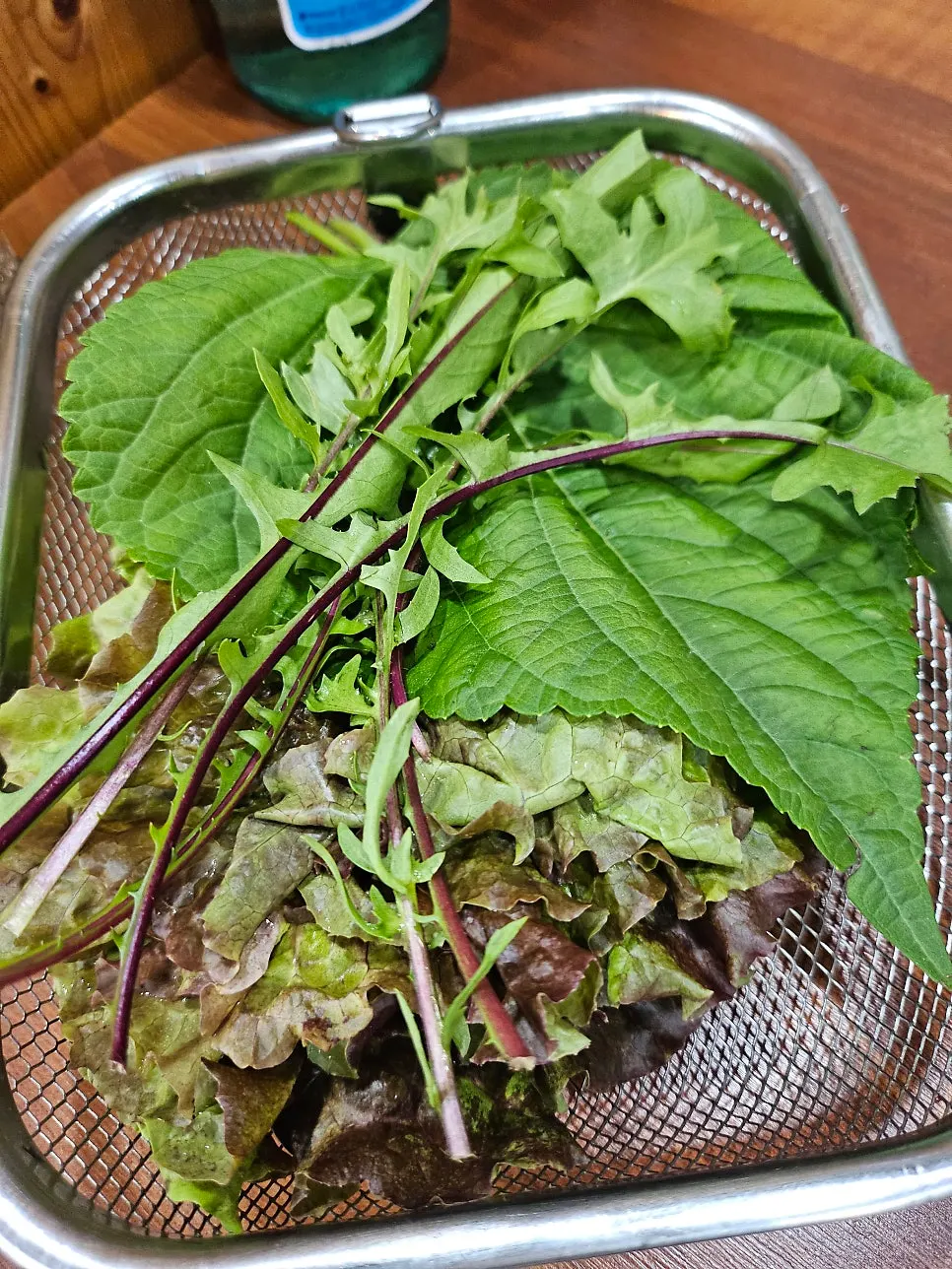 테이블 위 메뉴 안내판