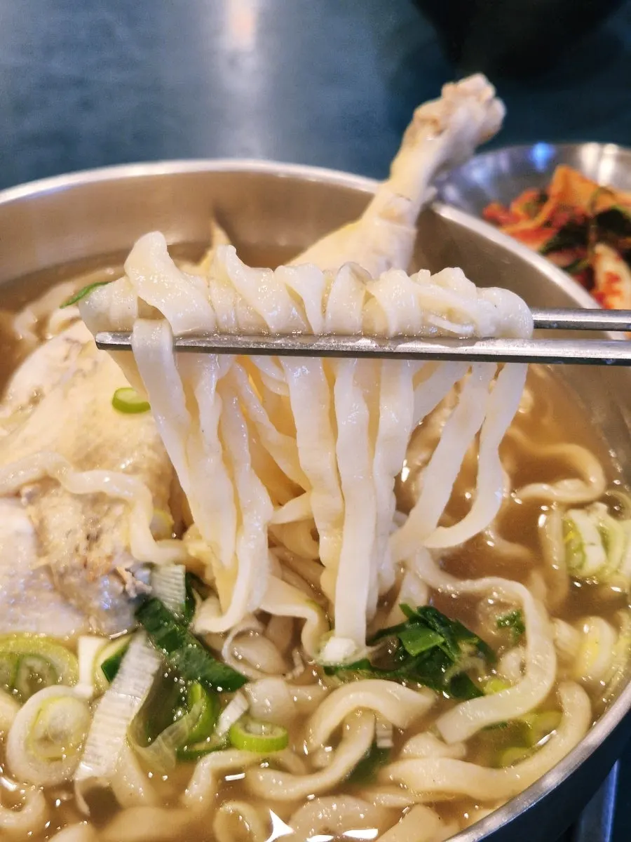 닭 반마리가 통째로 들어간 칼국수 한 그릇