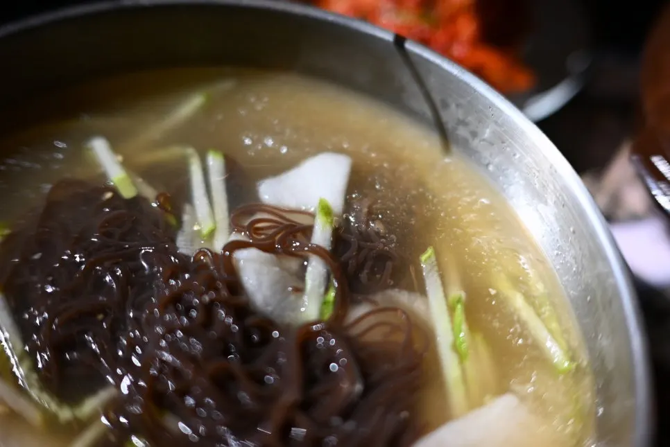 Close-up of mul-naengmyeon toppings and broth