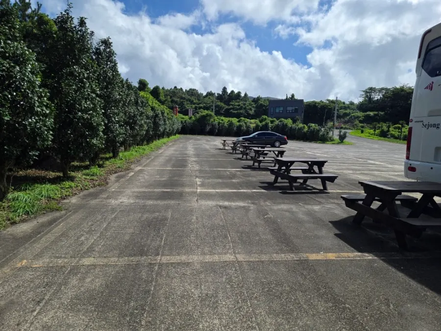 The wide dedicated parking lot at Myeonjumak Jeju Main Branch