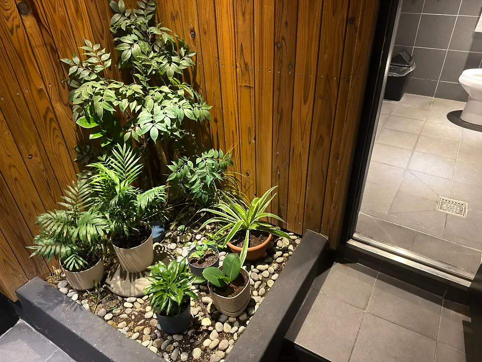Indoor landscaping on the way to the restroom