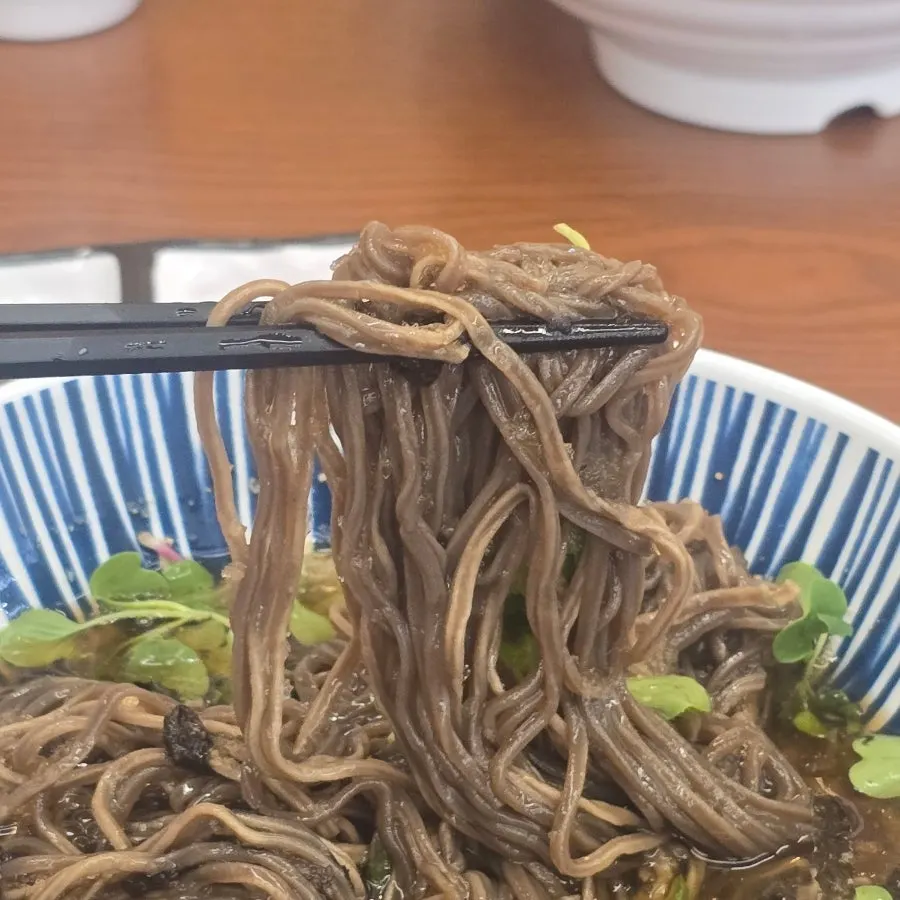 Cold soba broth and noodles