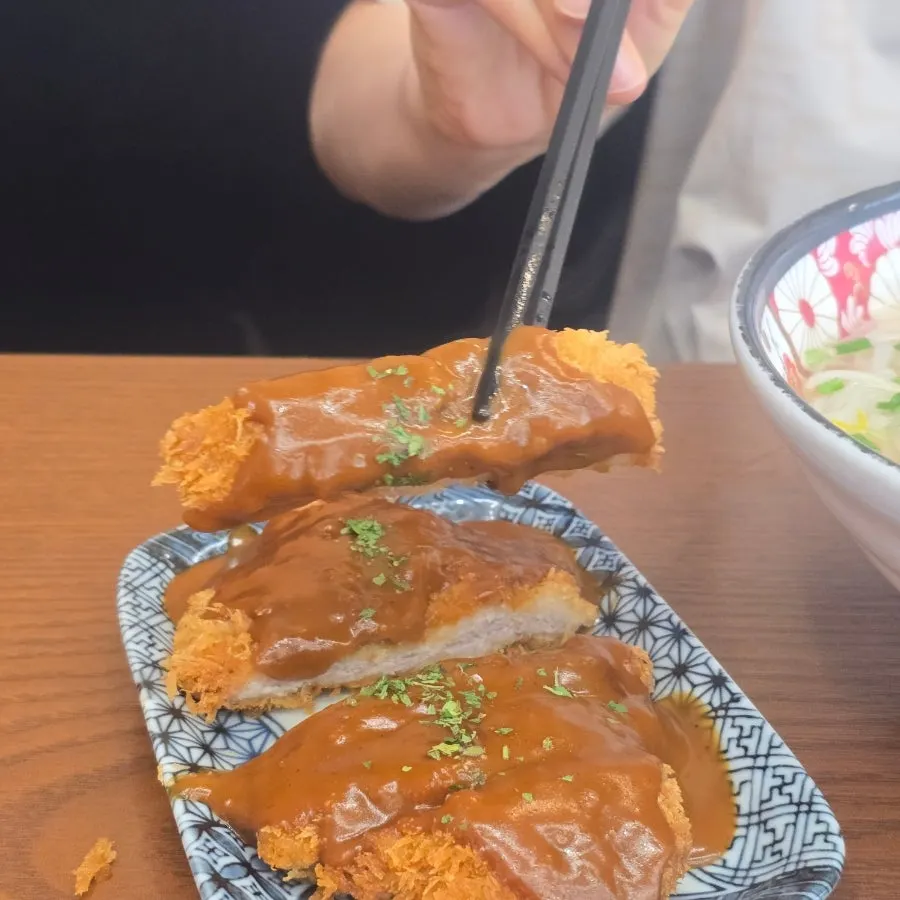 Demi-glace hireu katsu served with rice