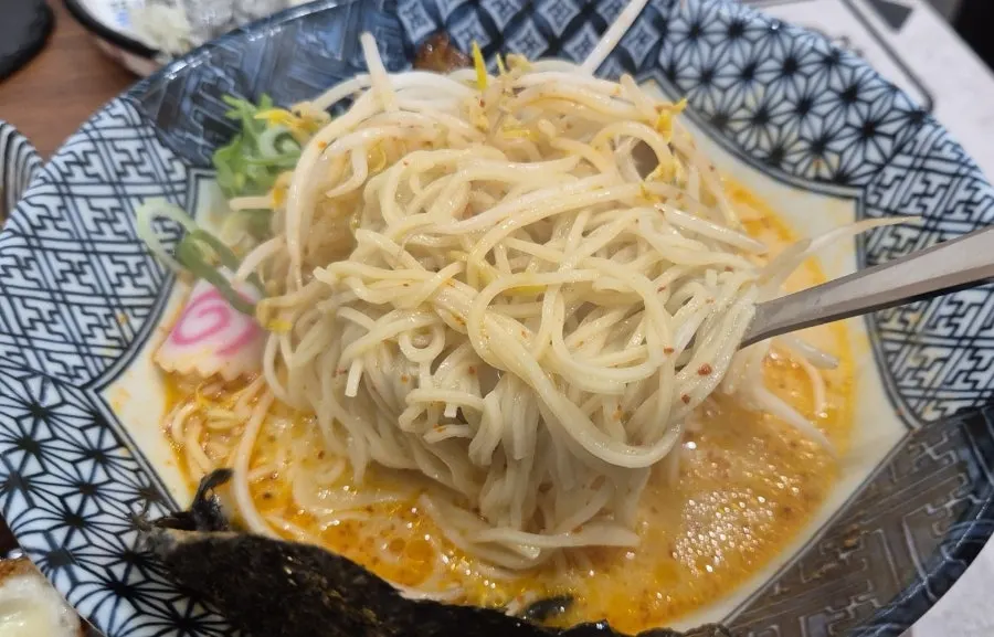 Tonkotsu ramen topped with torched chashu
