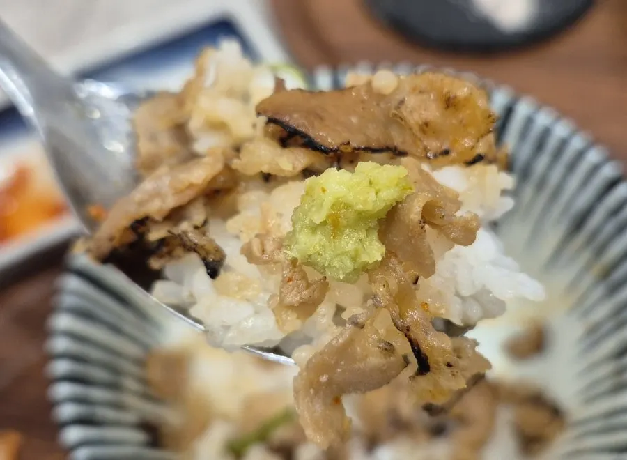 Buta-don topped with soy-glazed pork