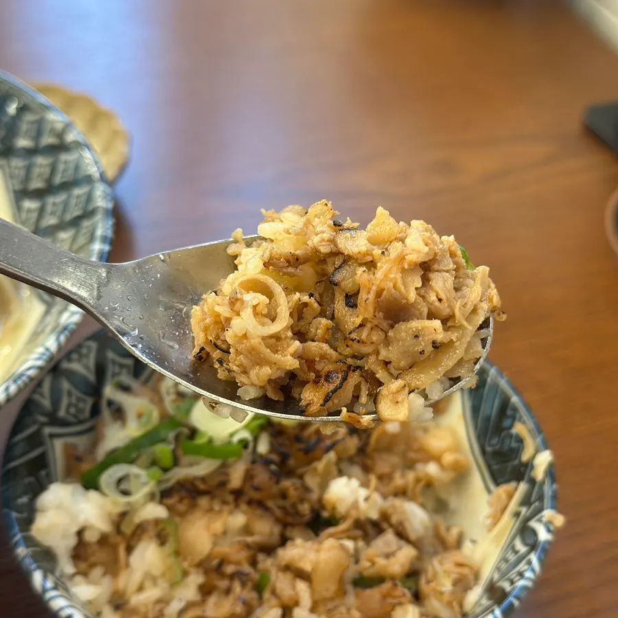 A spoonful of smoky meat and rice from the butadon