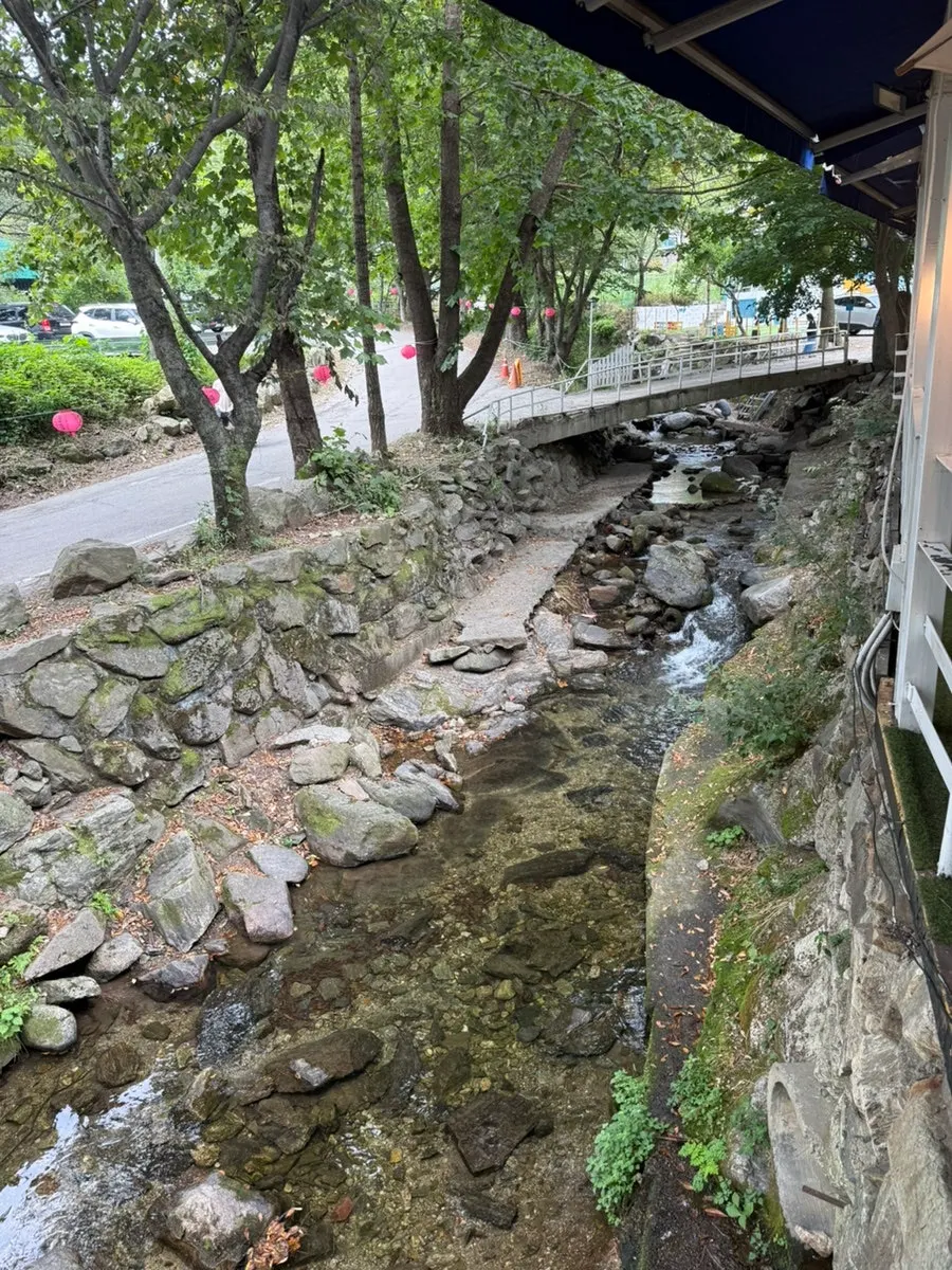 테라스에서 내려다본 묘적사 계곡