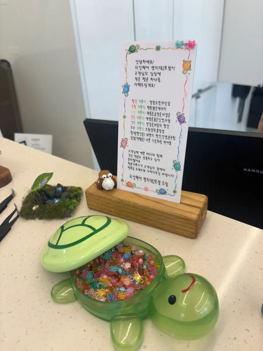 매장에 비치된 거북이 비즈 이벤트