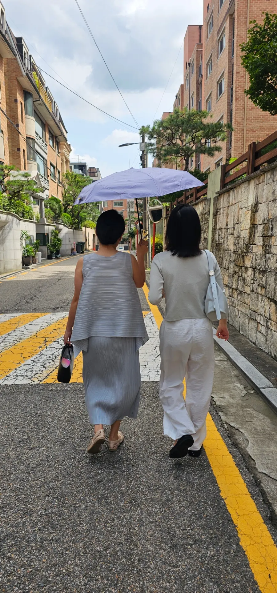 생선구이와 조림 메뉴가 담긴 메뉴판