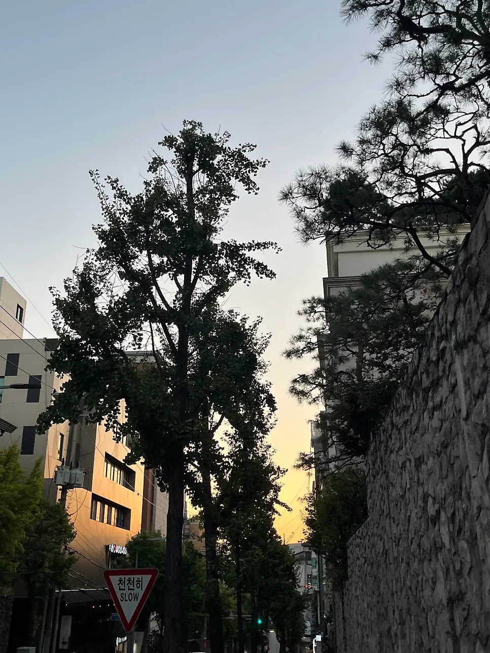 내고향 제주 방배점 방문 첫 사진