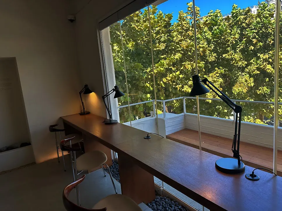 Sycamore trees seen through the window of the Flow space