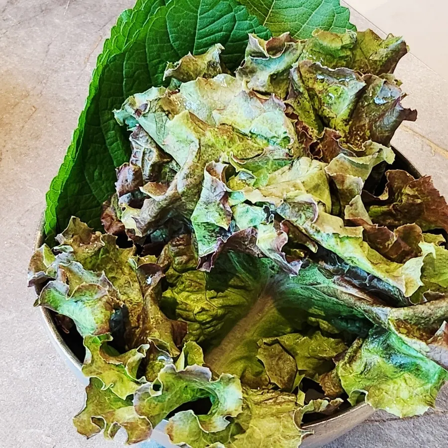 焼肉と一緒に出てきた包み野菜